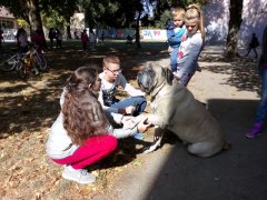 IMG_20181003_120438.jpg